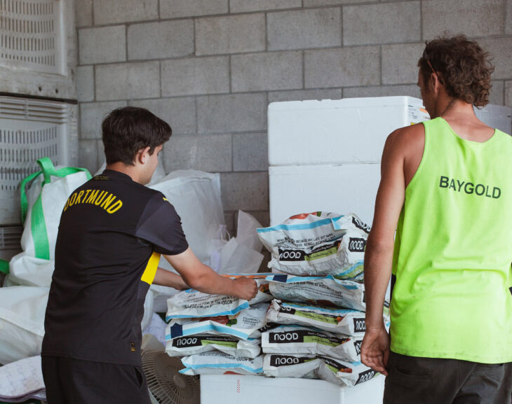 Baygold team members packing supplies for a local community effort